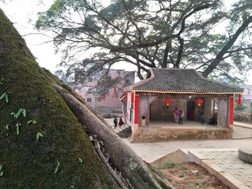 八仙古戏台旅行图片 3