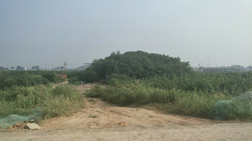 张仪苏秦墓旅行图片 1