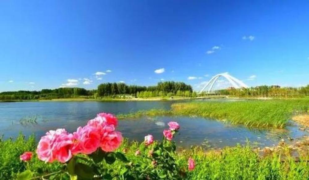 未来科学城滨水公园景点图片
