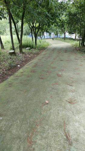 川东生态动物园旅行图片 1