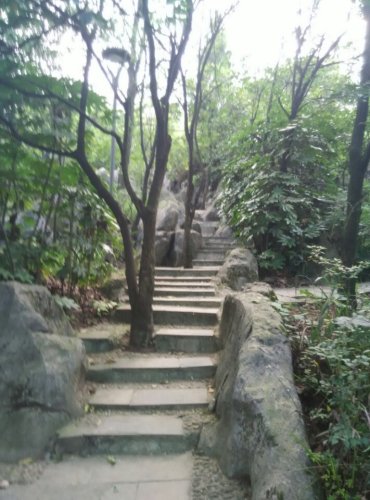 大人山公园旅行图片 1