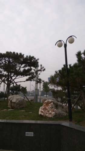 玉兰闹春旅行图片 1
