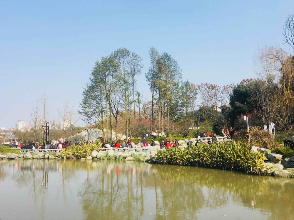 浣花溪公园景点图片