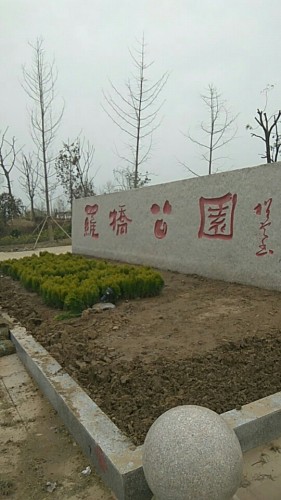 罗桥公园旅行图片