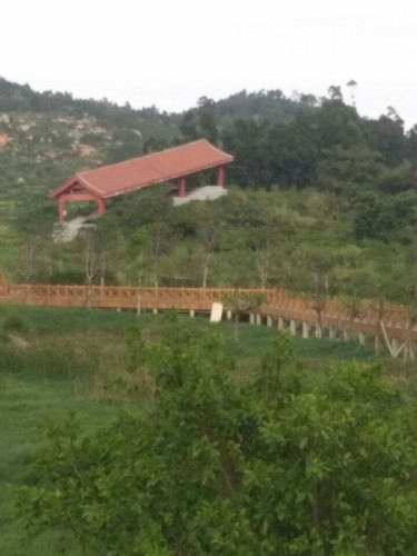 金交椅山窑址旅行图片 1