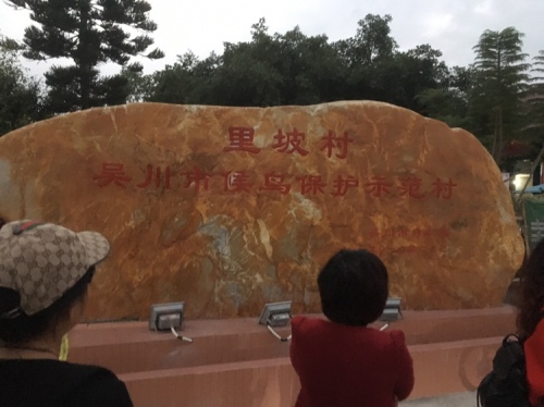 万鸟归巢旅行图片 2
