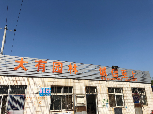 定州市大有园林绿化工程有限公司