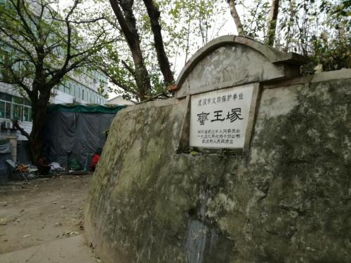 蛮王之墓旅行图片 3