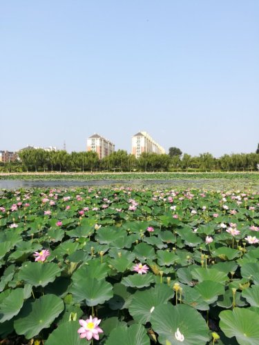 蒲河国家湿地公园旅行图片 2