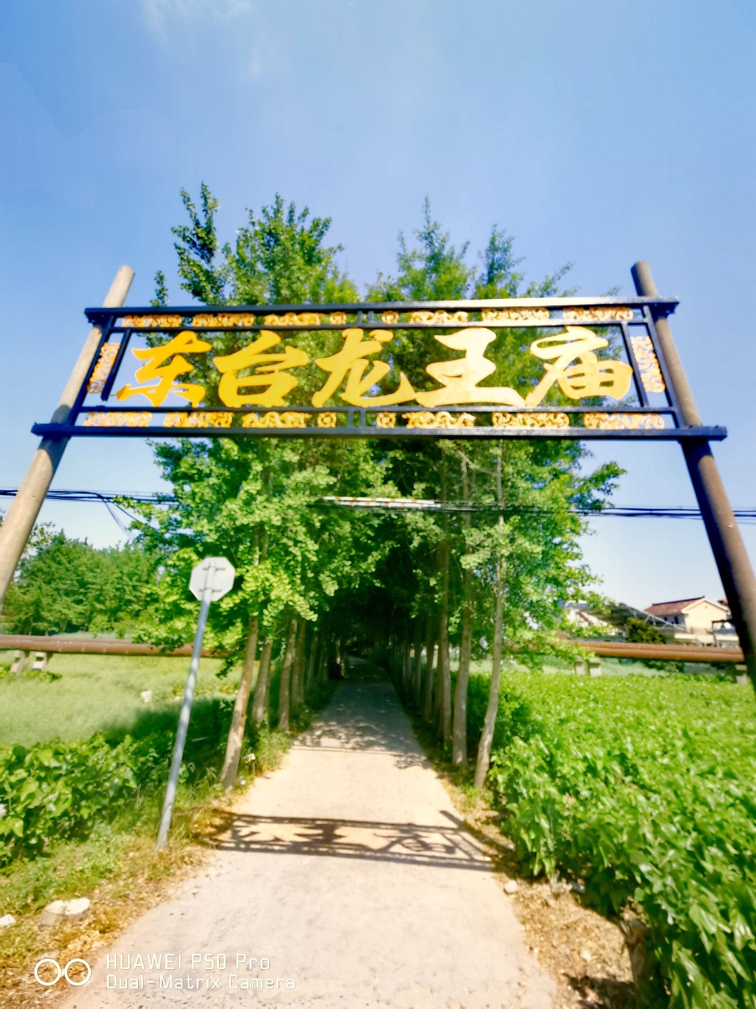 东台龙王庙实景照片