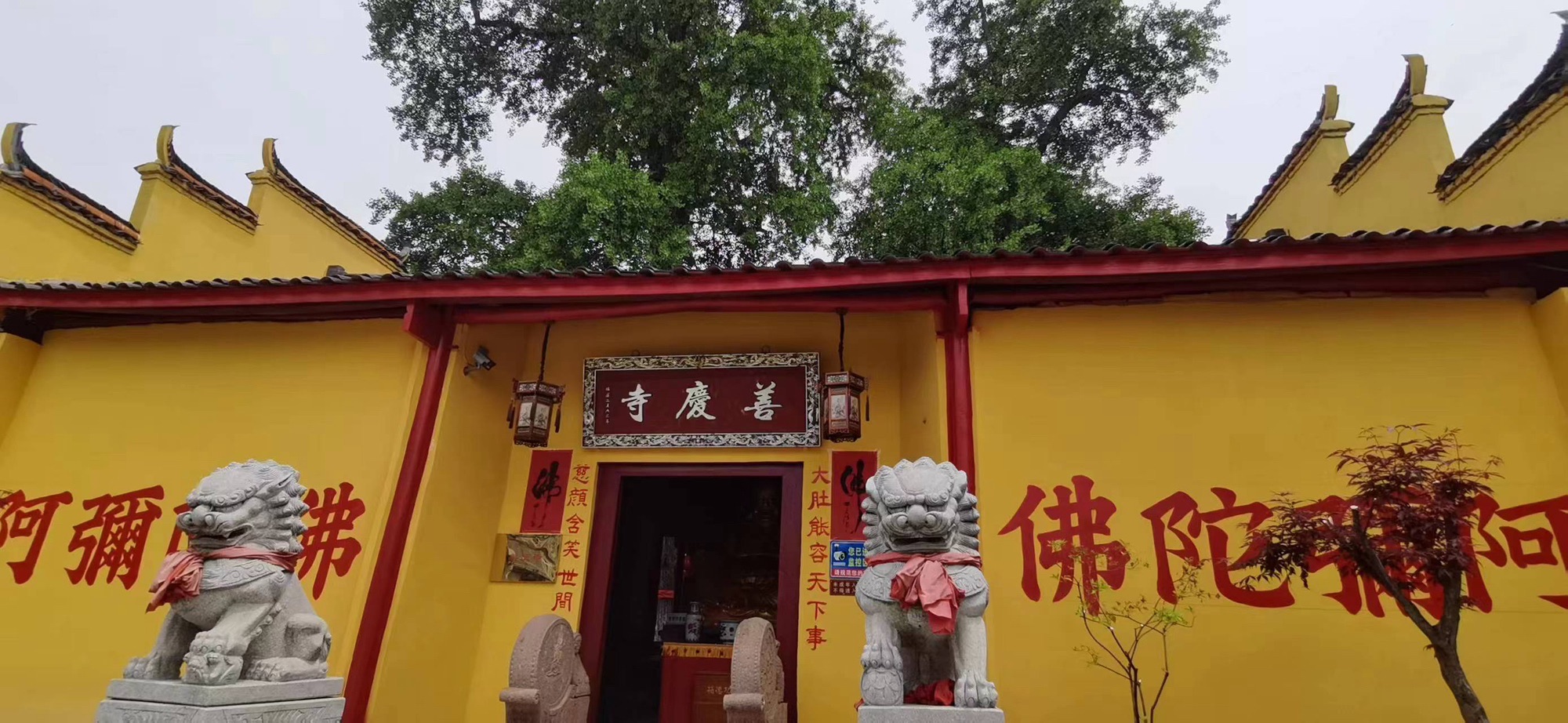 善庆寺实景照片