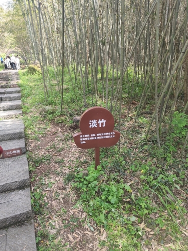 铁山寺国家森林公园-淡竹园