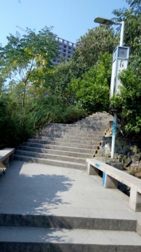屿山公园旅行图片 3