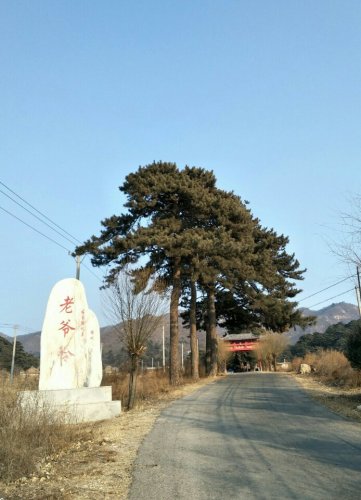 老爷岭风景区旅行图片 3