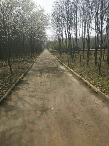 凤山地质公园旅行图片 1