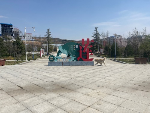 下村镇莲花公园