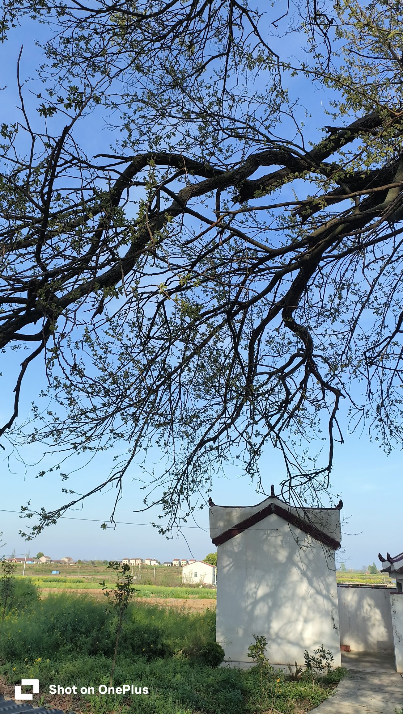 英雄村洪山寺实景照片