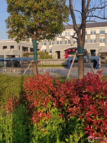 昆山经济技术开发区中华园实景图（3）