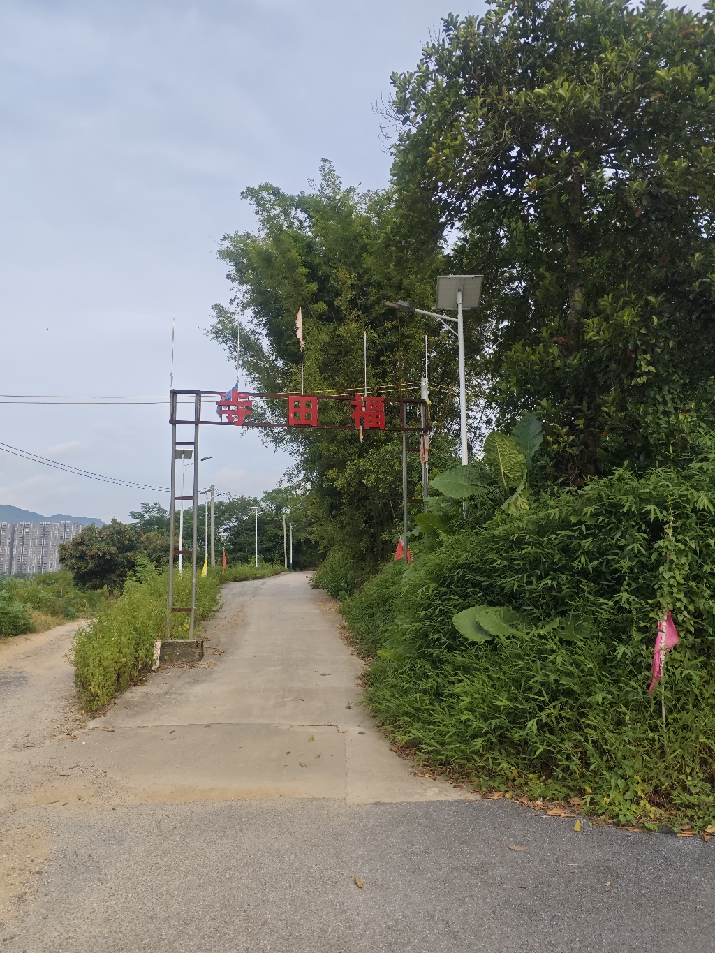 阳春市福田寺实景照片