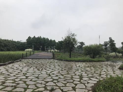 九塘围垦文化公园旅行图片 3