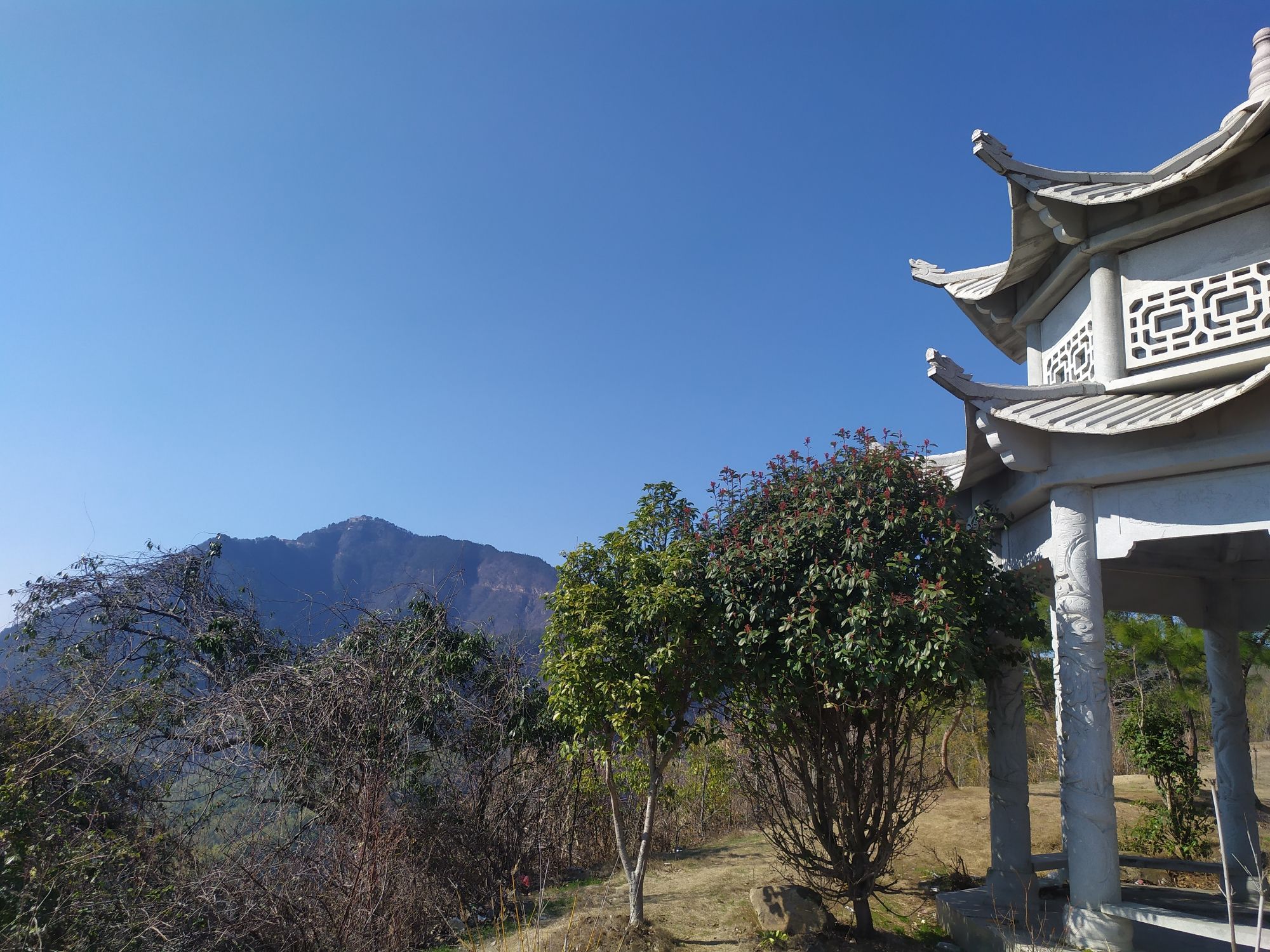 横岗山森林公园-圣母殿实景照片