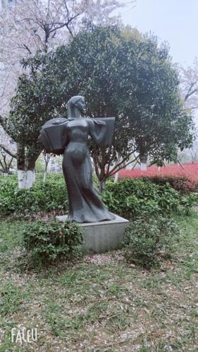 江北公园旅行图片 1