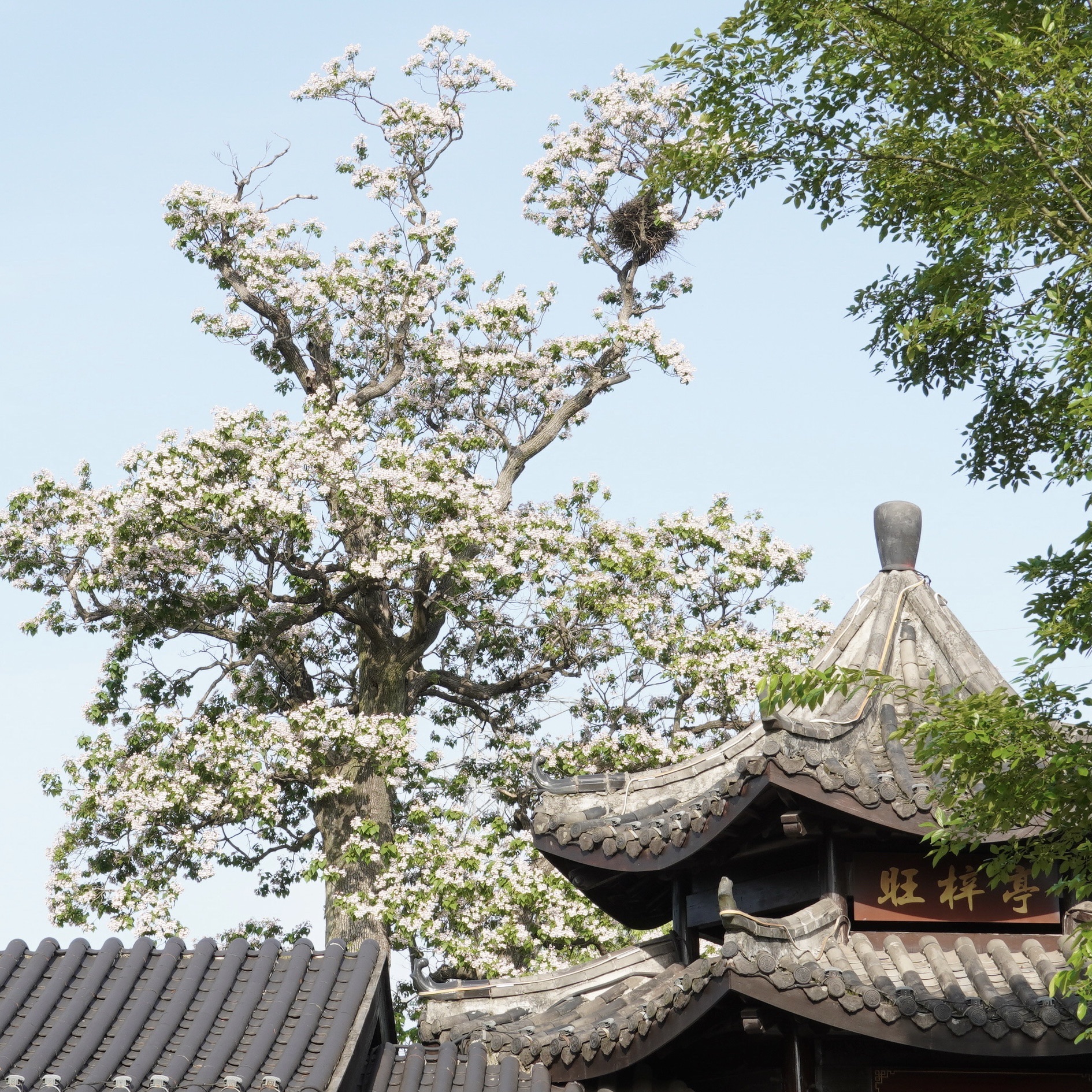 零宿庙实景照片