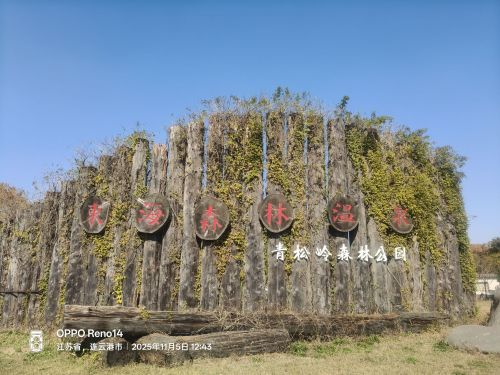 青松岭森林公园-爱的乐章