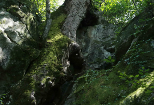 玉琯岩碑林旅行图片 3