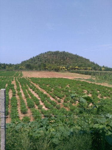 魏孝文帝陵旅行图片 1