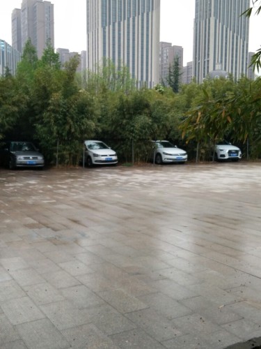 竹园旅行图片 3