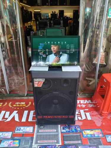 特美声音响(三亚市崖城中心农贸市场店)
