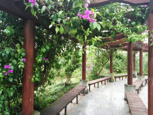 雨台山公园旅行图片 2