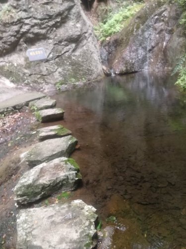 栾川天宇红豆杉景区旅行图片 2