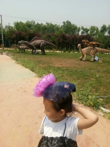 洛阳东花园旅行图片 1