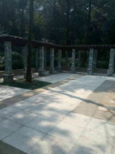九龙湾公园旅行图片 2