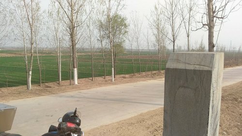 黄花台遗址旅行图片 3