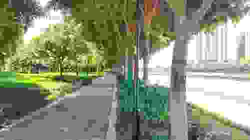 左岸公园旅行图片 2