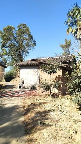 象鼻寺旅行图片 1