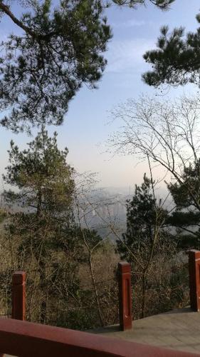 环翠阁旅行图片 3