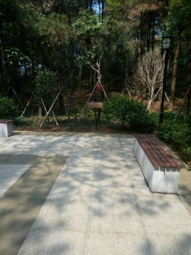 九龙湾公园旅行图片 1