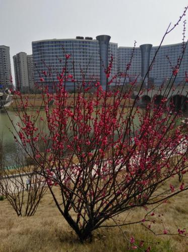 张家界市民广场旅行图片 3