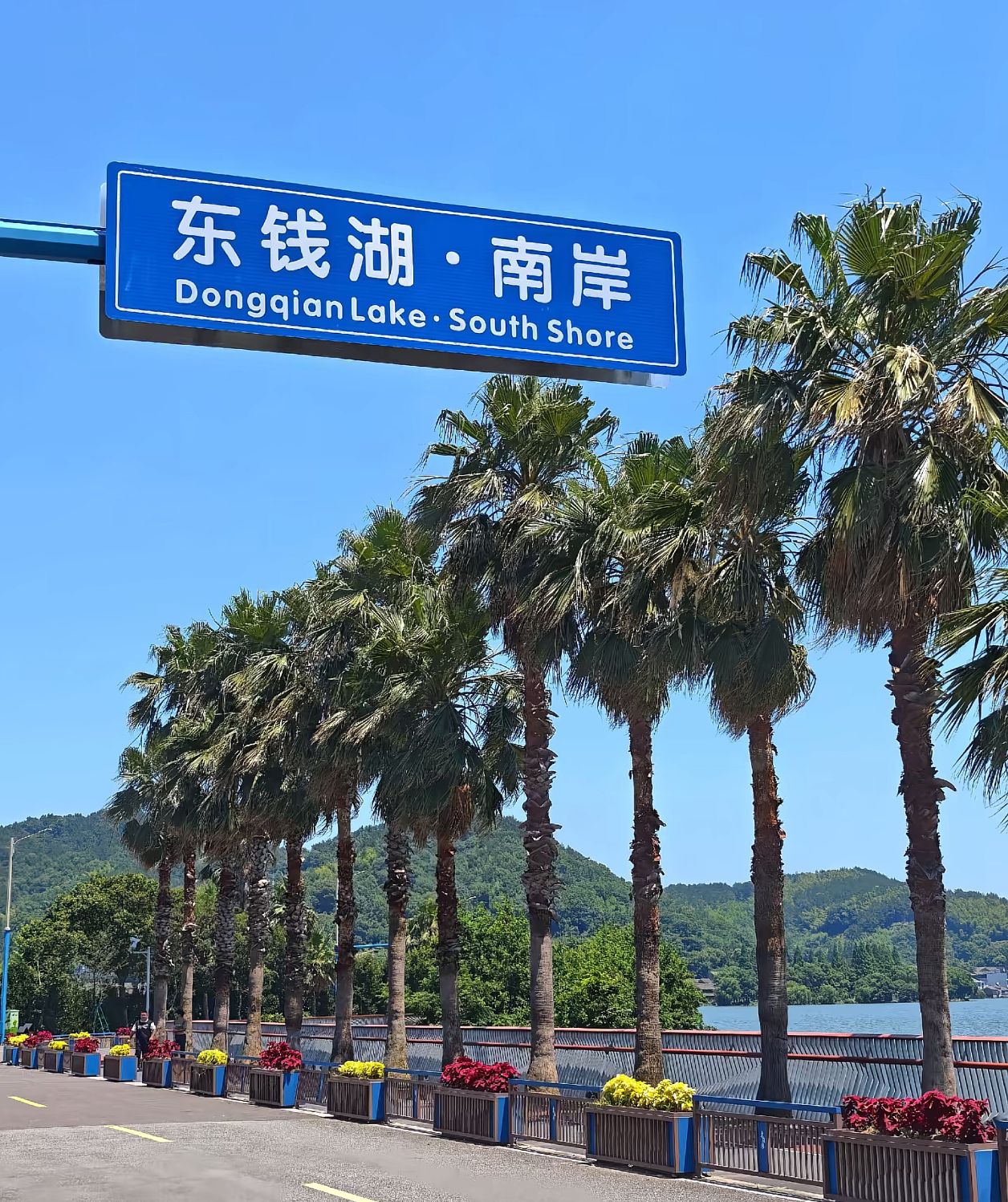 东钱湖旅游度假区现场照片 2