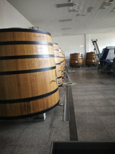 戎子酒庄旅行图片 2
