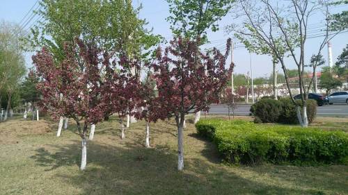 界园旅行图片 3