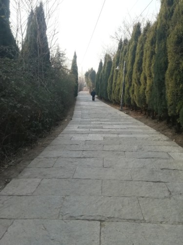 白云山公园旅行图片 1