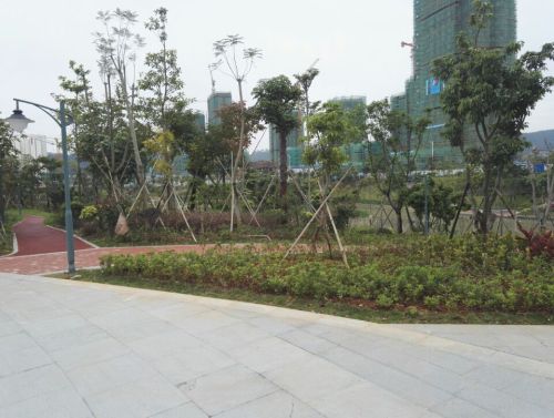 禹洲湿地公园旅行图片 3