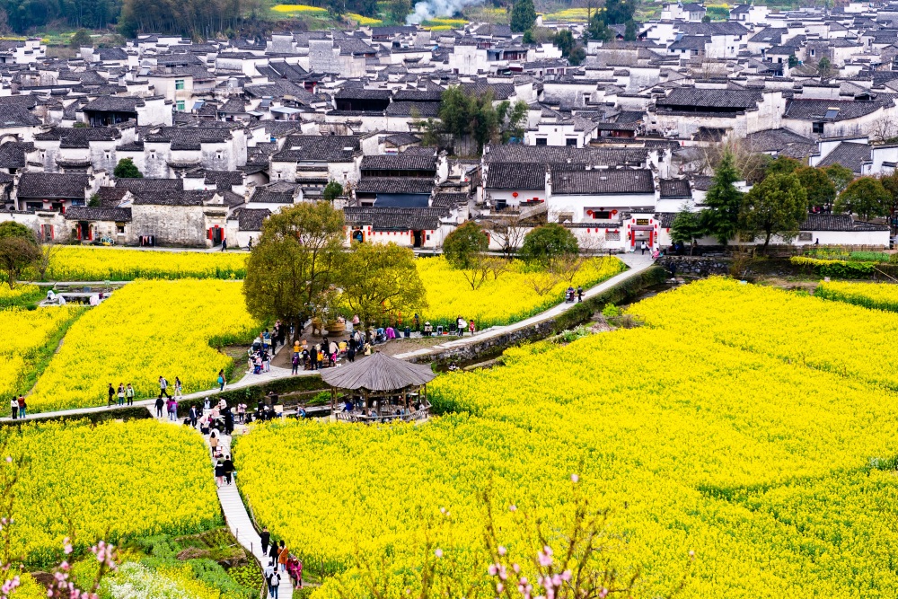 西递古村落景点图片