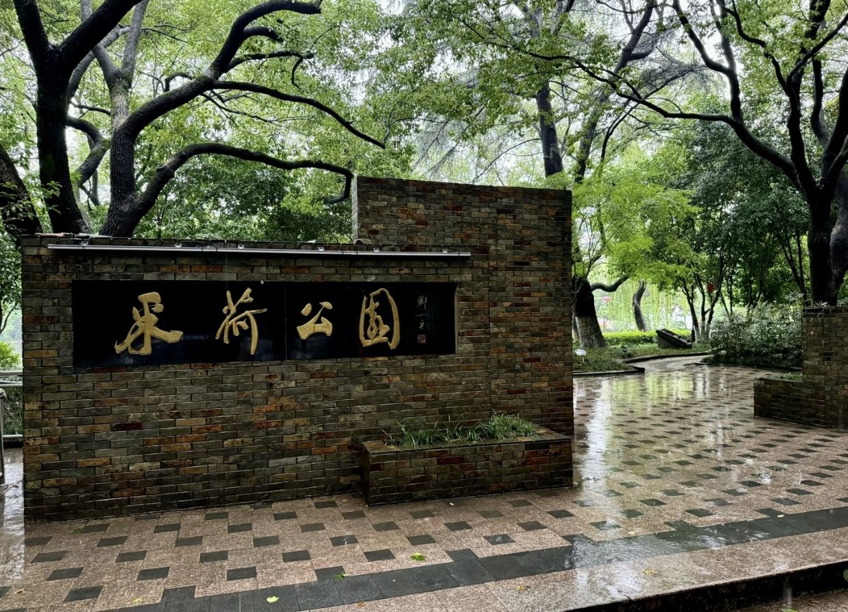 采荷公园