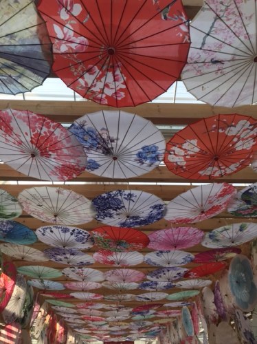 阿布卡小镇七彩青龙旅行图片 1